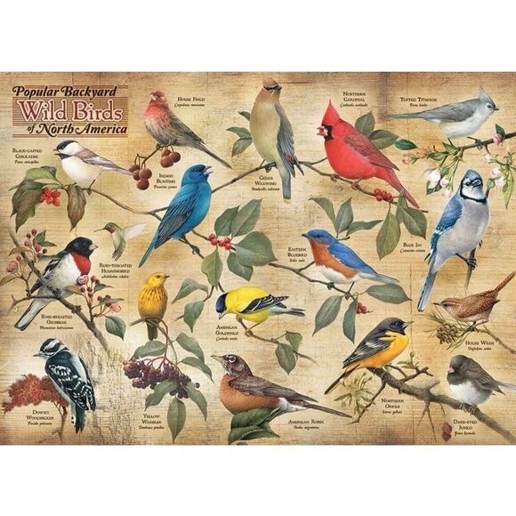 Cobble Hill Popular Wild Birds of North America 1000 pc Jigsaw Puzzle Box Damage - Picture 2 of 10
